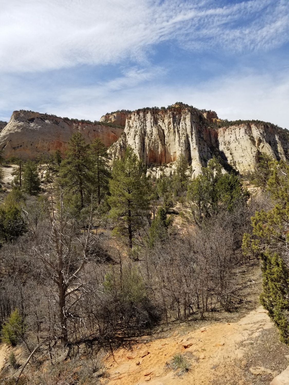 Mount Carmel Highway 